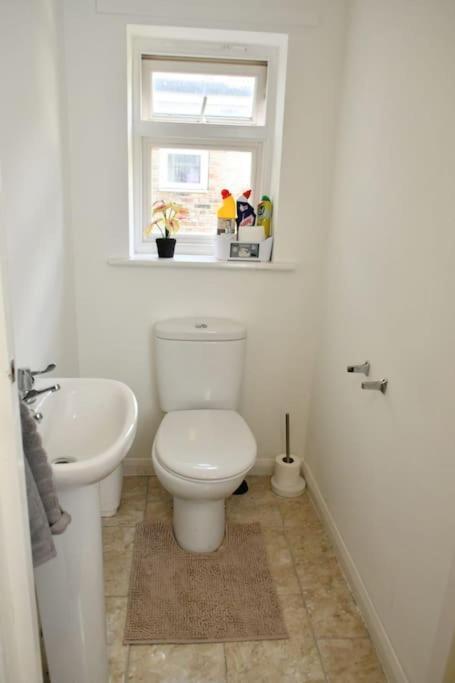 Stylish Luxury Flat In *